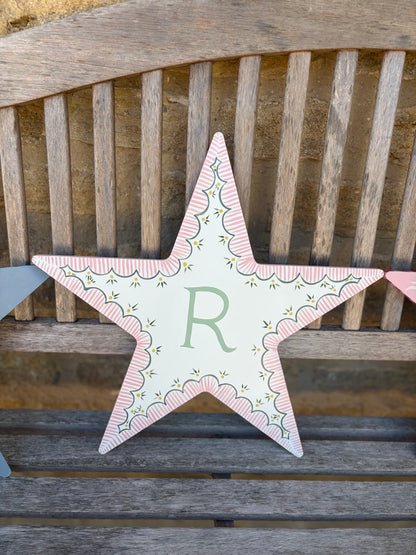 Pink striped scallop star